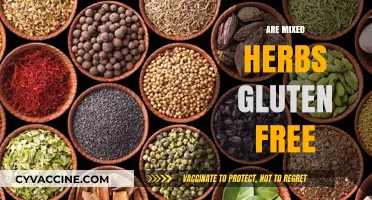 Are Mixed Herbs Gluten Free? A Comprehensive Guide to Safe Seasoning
