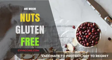 Are Mochi Nuts Gluten-Free? A Comprehensive Guide to Your Diet