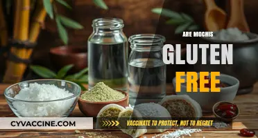 Are Mochis Gluten-Free? A Comprehensive Guide to Ingredients and Options