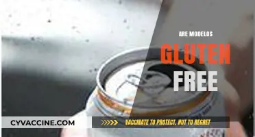 Are Modelo Beers Gluten-Free? A Complete Guide for Beer Lovers