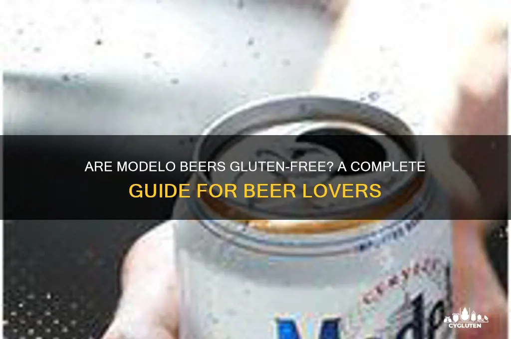 are modelos gluten free