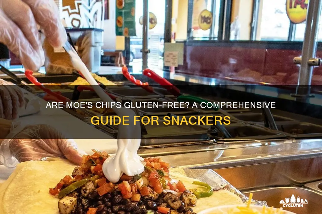 are moes chips gluten free
