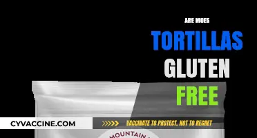 Are Moe's Tortillas Gluten-Free? A Complete Guide for Celiacs