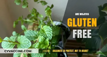 Are Mojitos Gluten-Free? A Refreshing Cocktail Guide for Celiacs