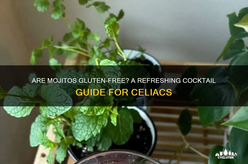 are mojitos gluten free