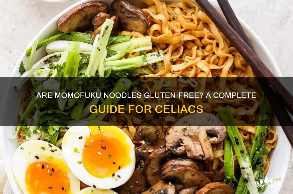 are momofuku noodles gluten free