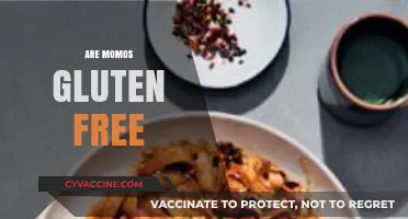 Are Momos Gluten-Free? Exploring Ingredients and Safe Options