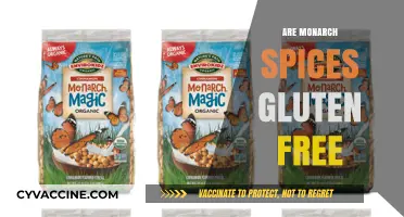 Are Monarch Spices Gluten-Free? A Comprehensive Guide for Dietary Needs