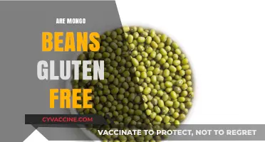 Are Mongo Beans Gluten-Free? A Comprehensive Guide for Celiacs
