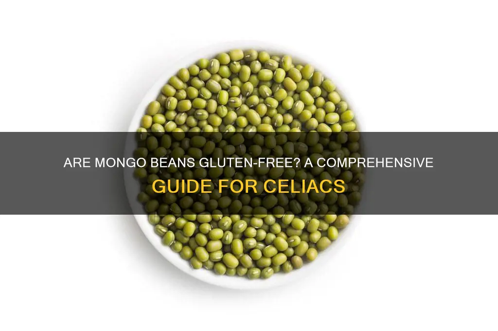 are mongo beans gluten free