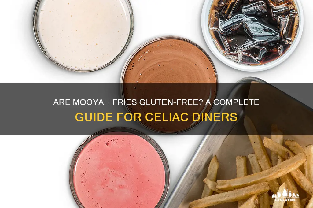 are mooyah fries gluten free