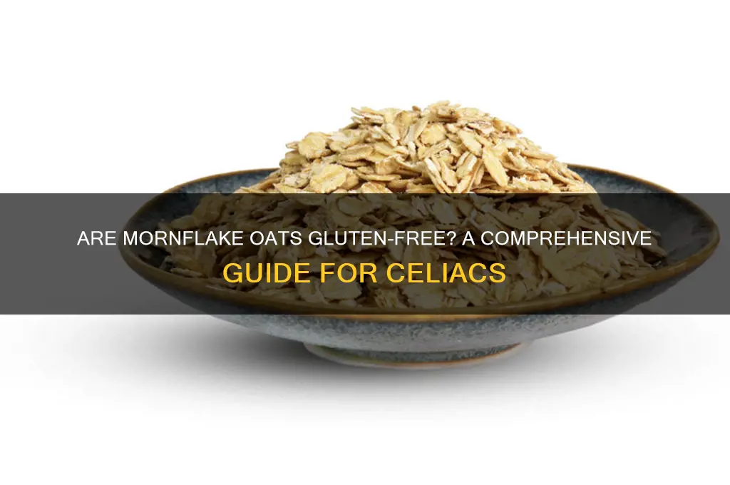 are mornflake oats gluten free