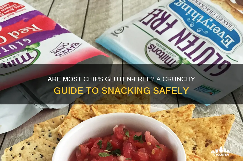 are most chips gluten free