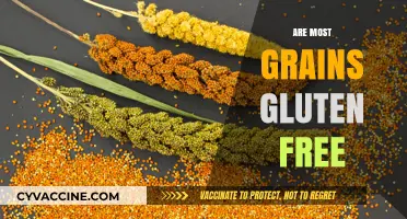 Are Most Grains Gluten-Free? Unraveling the Truth for Your Diet