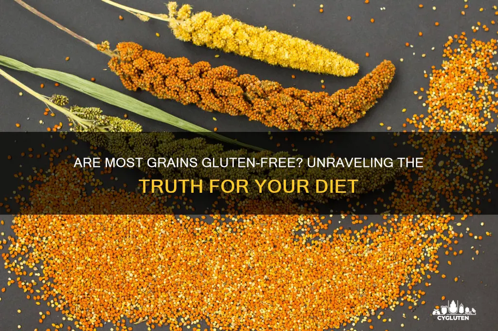are most grains gluten free