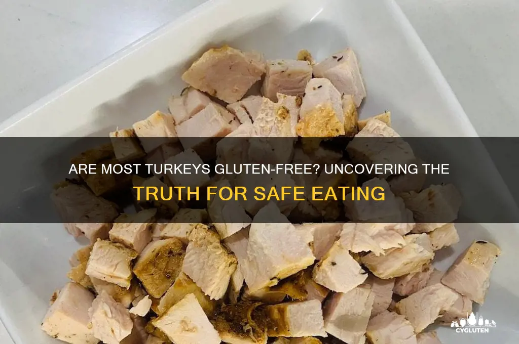 are most turkeys gluten free
