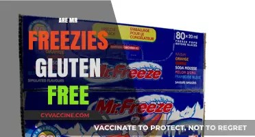 Are Mr. Freezies Gluten-Free? A Complete Guide to Enjoying Safely