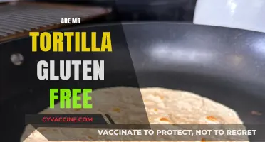 Are Mr. Tortilla Wraps Gluten-Free? A Complete Guide