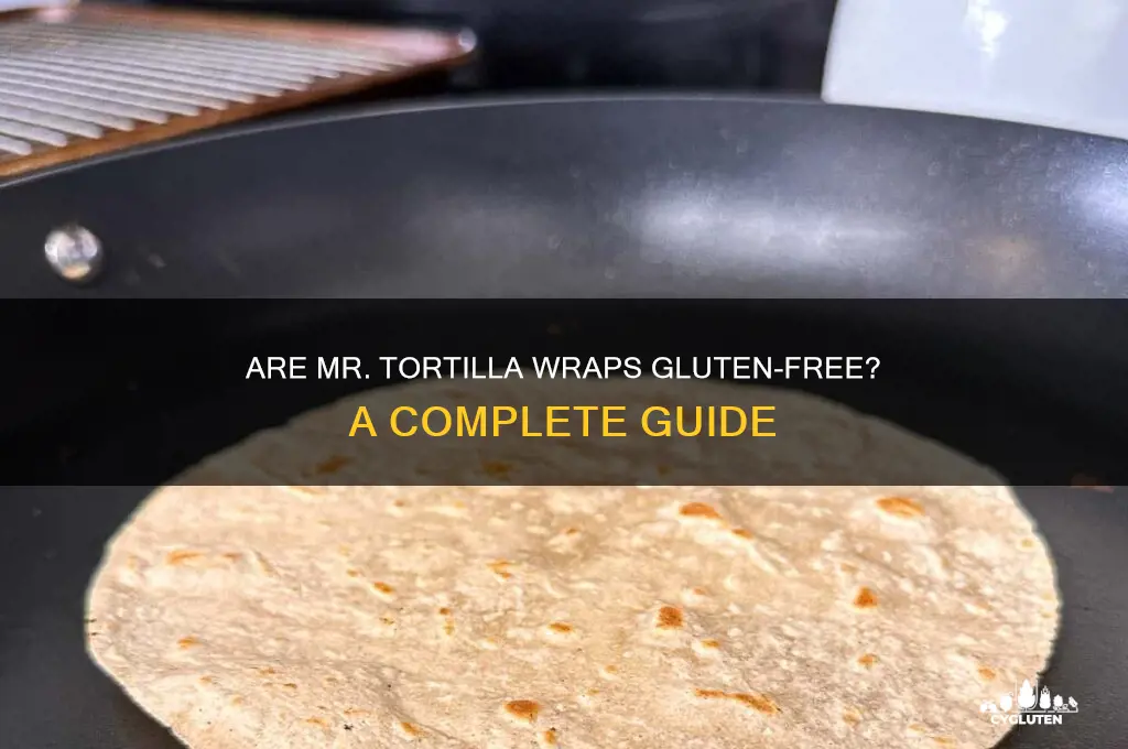are mr tortilla gluten free