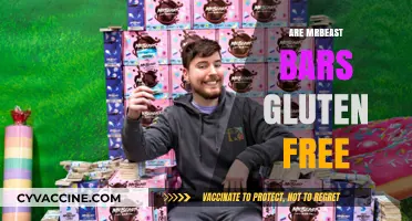 Are MrBeast Bars Gluten-Free? A Complete Guide for Snack Lovers