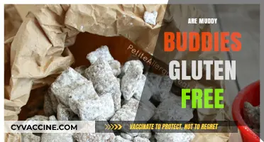 Are Muddy Buddies Gluten Free? A Sweet Snack Investigation