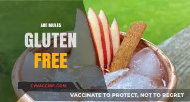 Are Mules Gluten Free? Unraveling the Myth and Facts