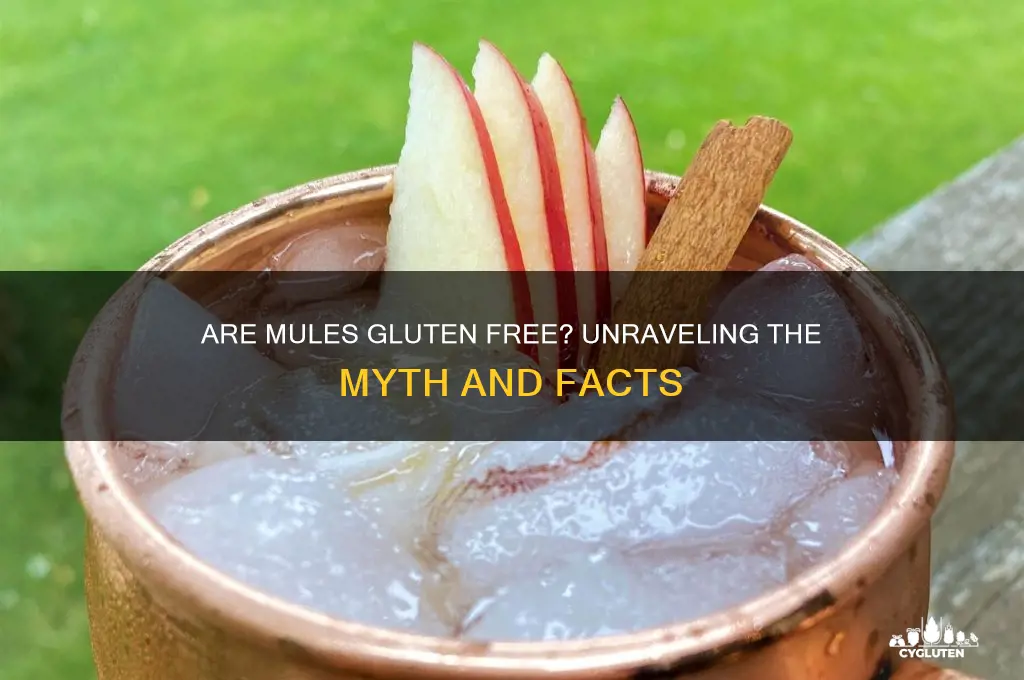 are mules gluten free
