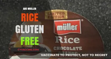 Is Müller Rice Gluten-Free? A Complete Guide for Celiac Diets