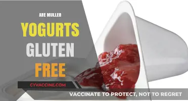 Are Muller Yogurts Gluten-Free? A Complete Guide for Dietary Needs