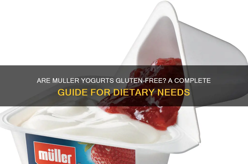 are muller yogurts gluten free