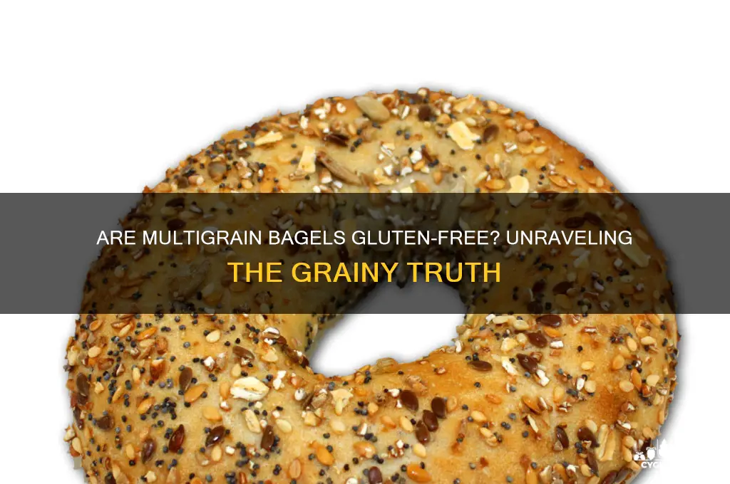 are multigrain bagels gluten free