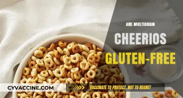 Are Multigrain Cheerios Gluten-Free? Unraveling the Cereal Mystery