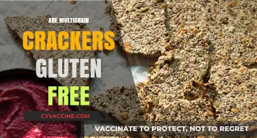 Are Multigrain Crackers Gluten-Free? Unraveling the Truth for Your Diet