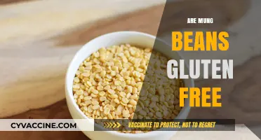 Are Mung Beans Gluten-Free? A Complete Guide to Their Safety
