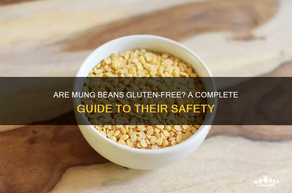 are mung beans gluten free