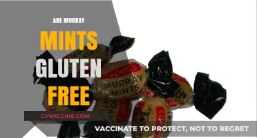 Are Murray Mints Gluten-Free? A Sweet Treat Investigation