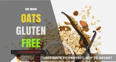 Are Mush Oats Gluten Free? A Clear and Simple Answer