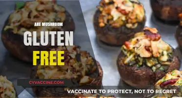 Mushrooms and Gluten: Are They Safe for a Gluten-Free Diet?