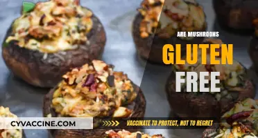 Are Mushrooms Gluten-Free? A Complete Guide to Safe Eating