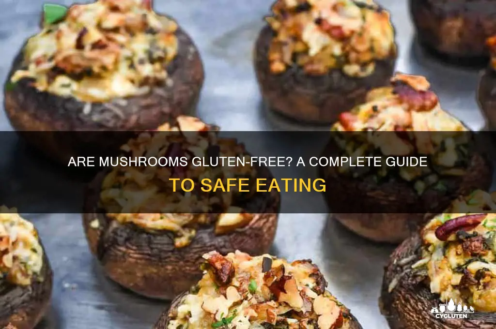 are mushroons gluten free