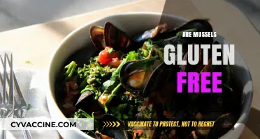 Are Mussels Gluten-Free? A Seafood Lover's Guide to Safe Eating