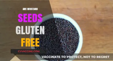 Are Mustard Seeds Gluten-Free? A Complete Guide for Celiac Diets