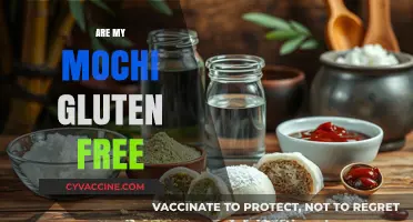 Are My Mochi Gluten-Free? A Complete Guide to Ingredients and Options