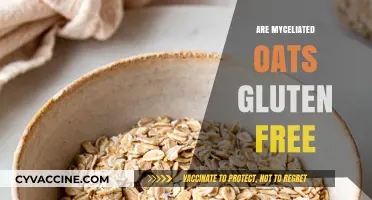 Myceliated Oats and Gluten: Are They Safe for Celiacs?
