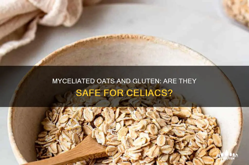 are myceliated oats gluten free