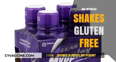 Are Myoplex Shakes Gluten-Free? A Comprehensive Guide for Fitness Enthusiasts