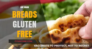 Is Naan Bread Gluten-Free? A Complete Guide to Ingredients and Alternatives