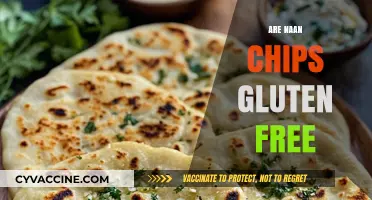 Are Naan Chips Gluten-Free? A Crunchy Snack Fact Check
