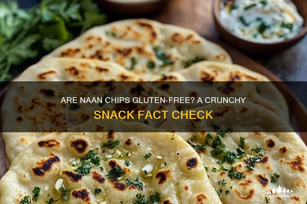 are naan chips gluten free