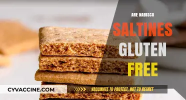 Are Nabisco Saltines Gluten-Free? A Clear Answer for Celiacs
